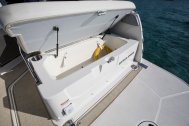 Bayliner Ciera 8 med Mercruiser sterndrive - 6