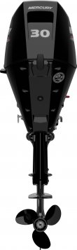 Mercury F 30 ELPT EFI - 2