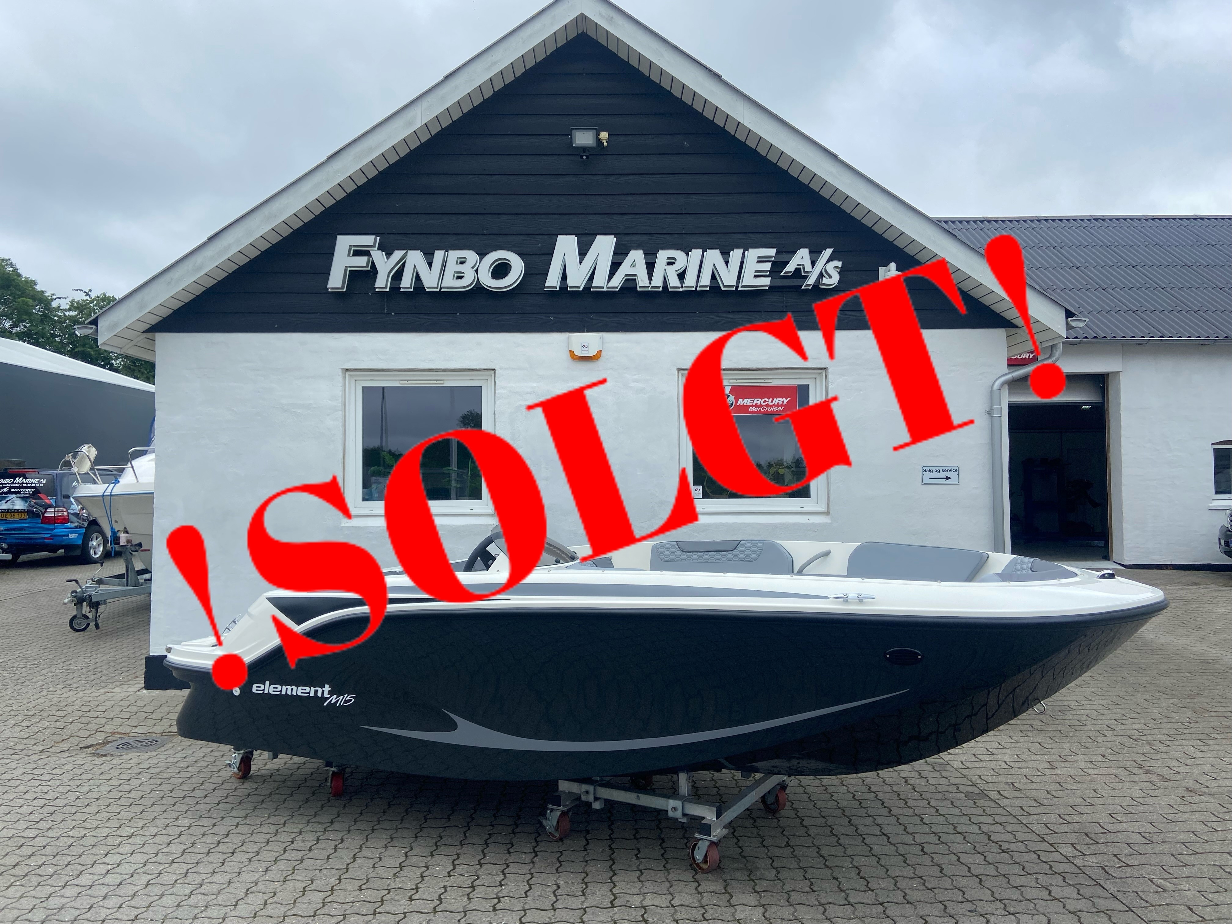 Bayliner Element M15, Mercury F50 EFI...SOLGT - 6